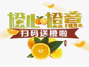 橙心橙意加盟費(fèi)用解析 總投資7.98萬元起，詳細(xì)費(fèi)用構(gòu)成與加盟支持一覽