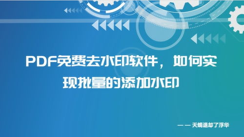 PDF水印免費去除軟件、批量添加水印方法及化妝品行業PDF水印制作教程